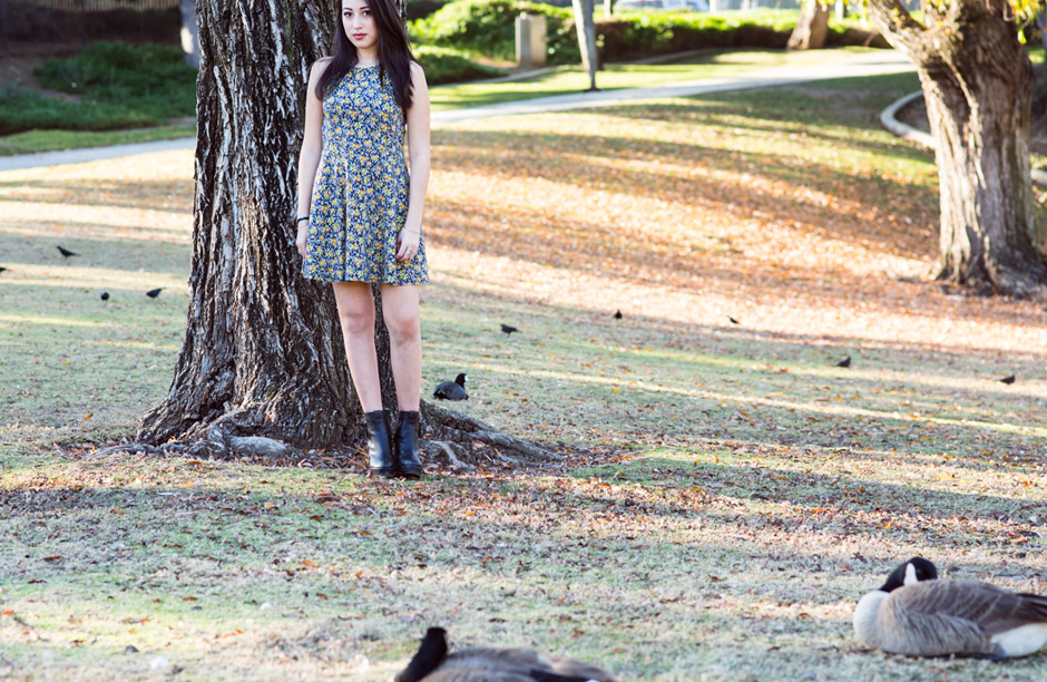 by a tree and ducks