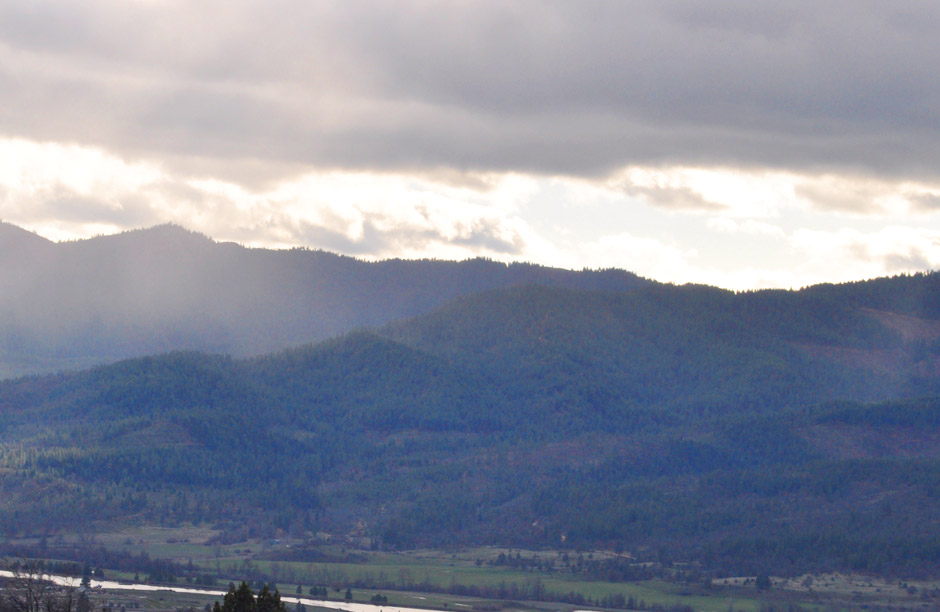 tree covered hill side